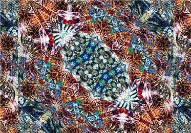 刷本不用体力，装备不用凹词条？这款二游有些大胆